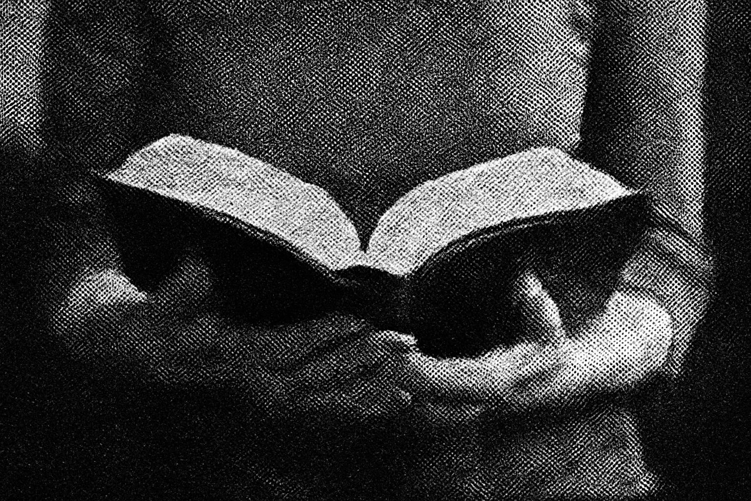 Hooked on a Book: Offene Begegnungen in Maintal während der Interkulturellen Wochen 📚🤝🌍