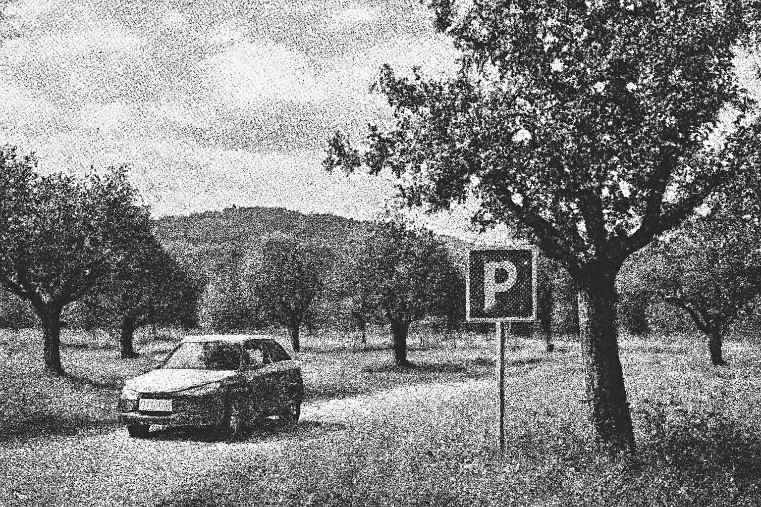 Streuobstwiesen Maintal: Klima- und Biodiversitätsschutz, regionale Obstvielfalt und Ehrenamt – Parkraum sichern 🚗🅿️🌳🐝🍎